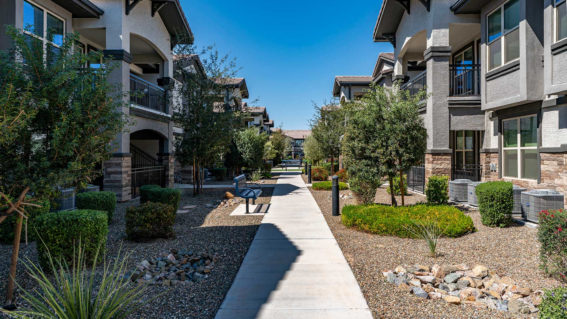 Senita On Cave Creek photo 4